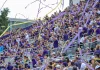 james madison football