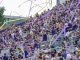 james madison football