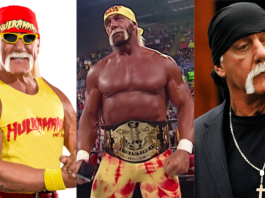 Tampa's own Hulk Hogan wrestling and pop icon dead at 71. A product of the Eddie Graham School of Wrestling.